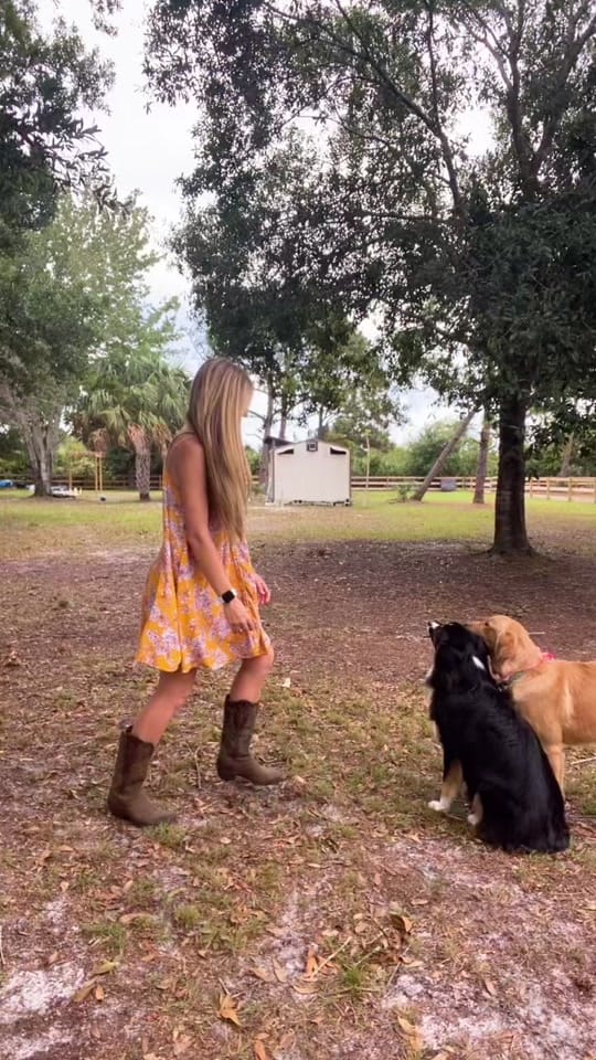 Post 9 by Mickayla Hammond on TikTok (video)