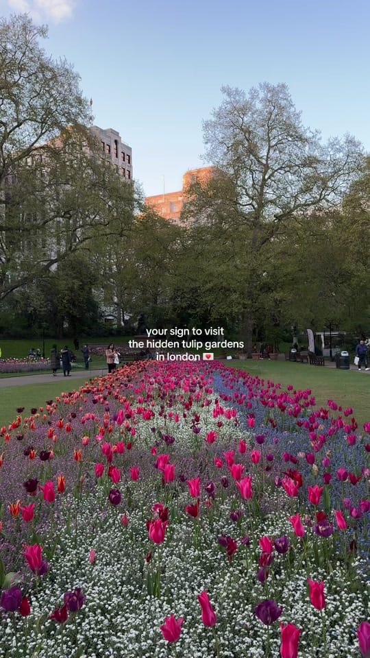Post 5 by aniyora | london + travel on TikTok (video)