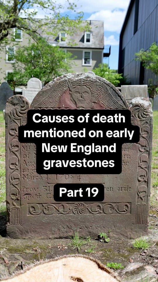 Post 7 by Derek Strahan on TikTok (video)