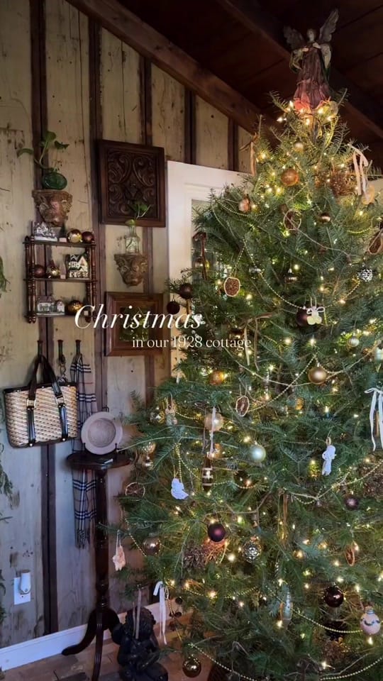 Post 7 by casa_della_mimosa on TikTok (video)