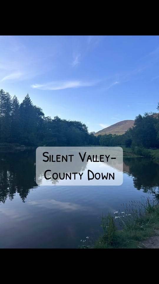 Post 6 by Wander Woods NI on TikTok (video)