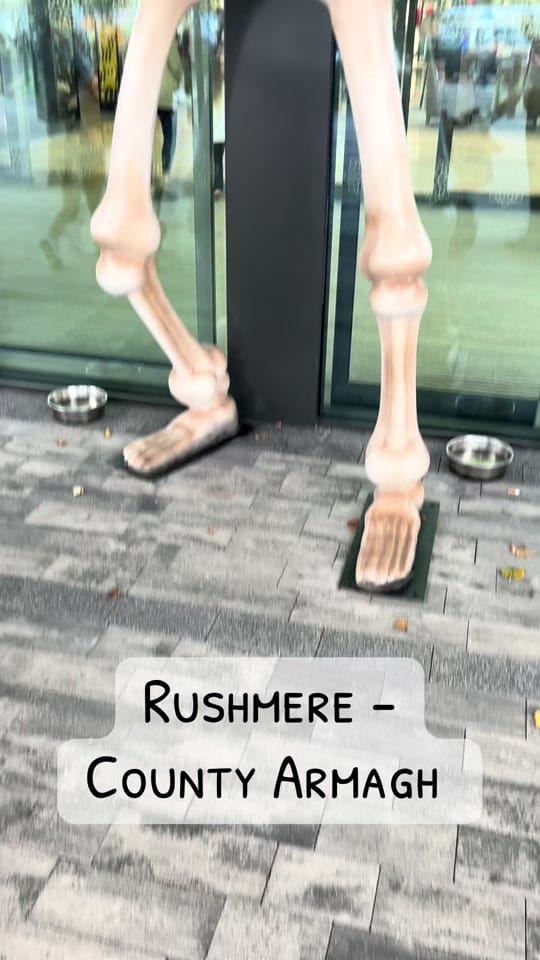 Post 2 by Wander Woods NI on TikTok (video)
