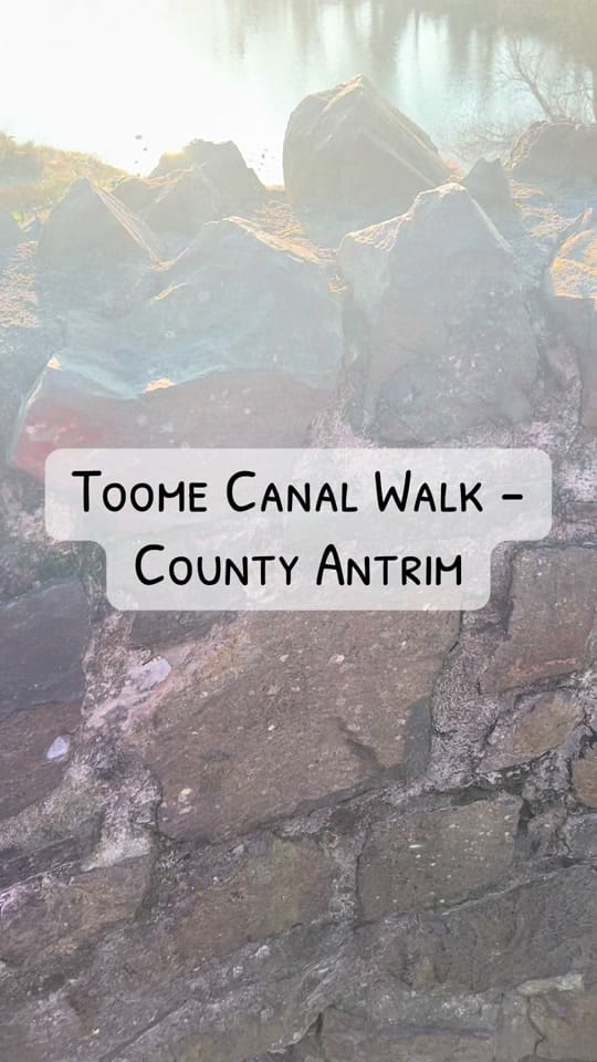 Post 9 by Wander Woods NI on TikTok (video)
