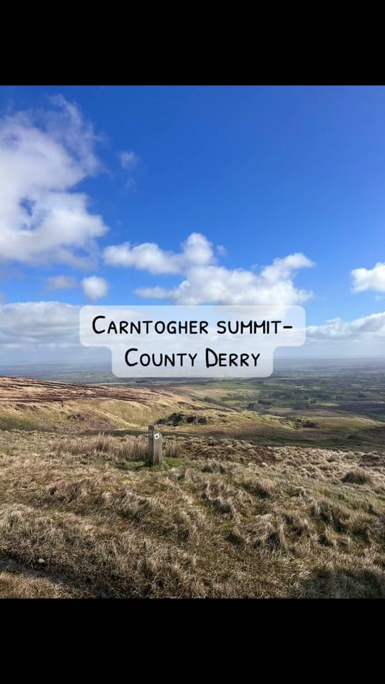 Post 3 by Wander Woods NI on TikTok (video)
