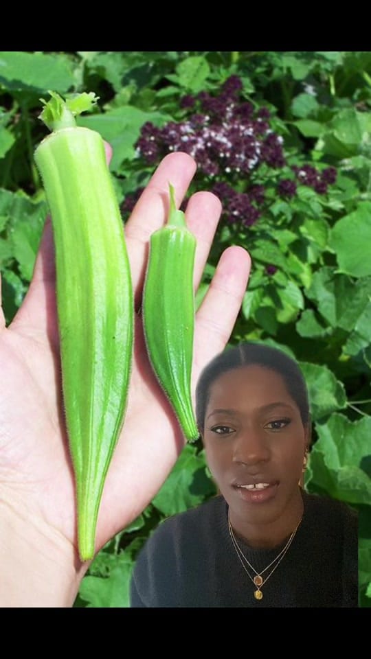 Post 9 by The Tropical Treat | Segi on TikTok (video)