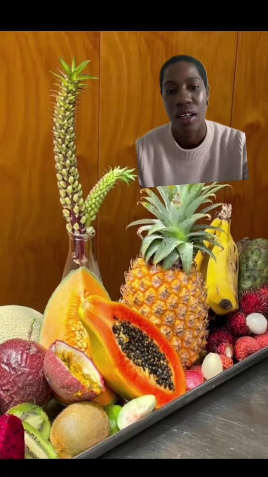 Post 7 by The Tropical Treat | Segi on TikTok (video)