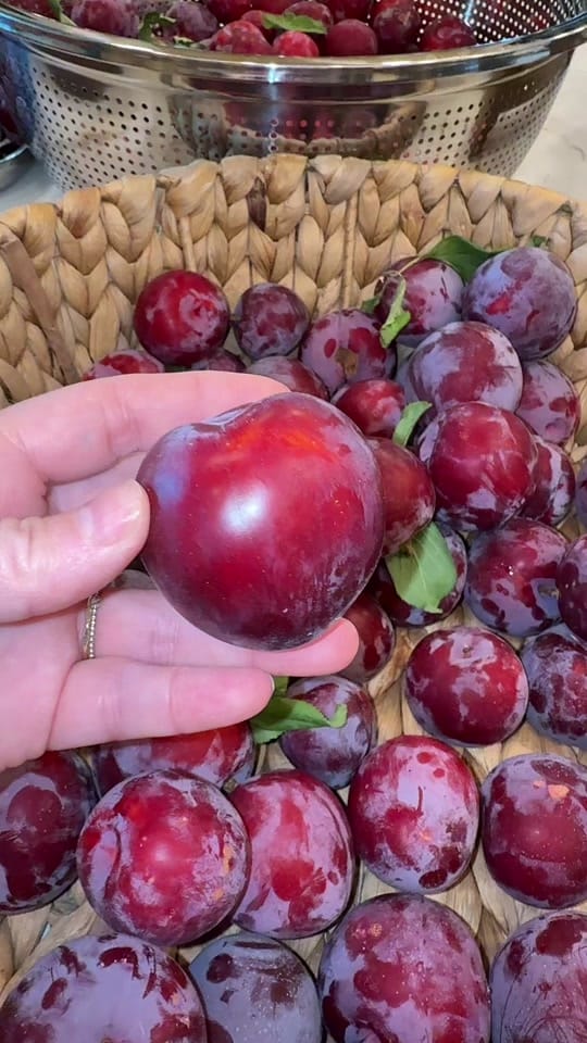 Post 9 by Gardening with Tara on TikTok (video)