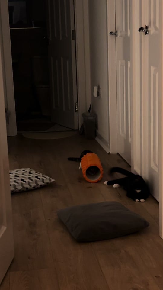 Post 5 by Cia 🍂🍁 on TikTok (video)