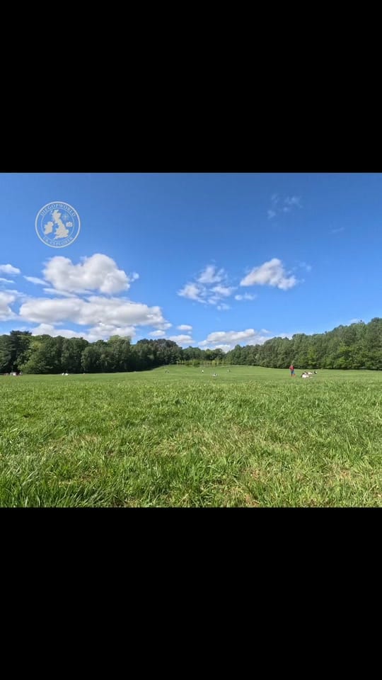 Post 8 by DIEGOPWORLD on TikTok (video)