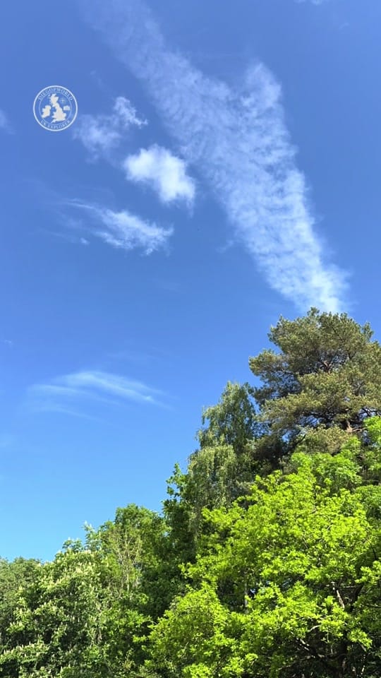 Post 7 by DIEGOPWORLD on TikTok (video)