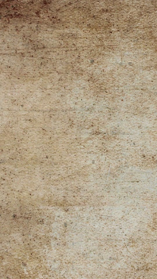 Post 2 by Forbidden Corner on TikTok (video)