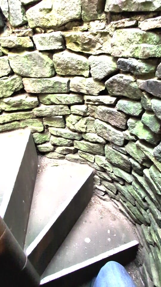 Post 1 by Forbidden Corner on TikTok (video)