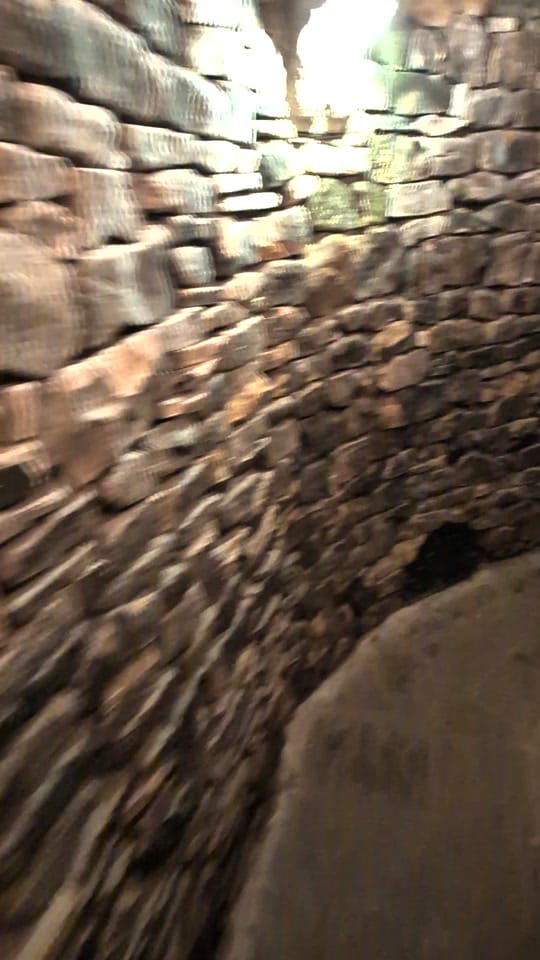 Post 4 by Forbidden Corner on TikTok (video)