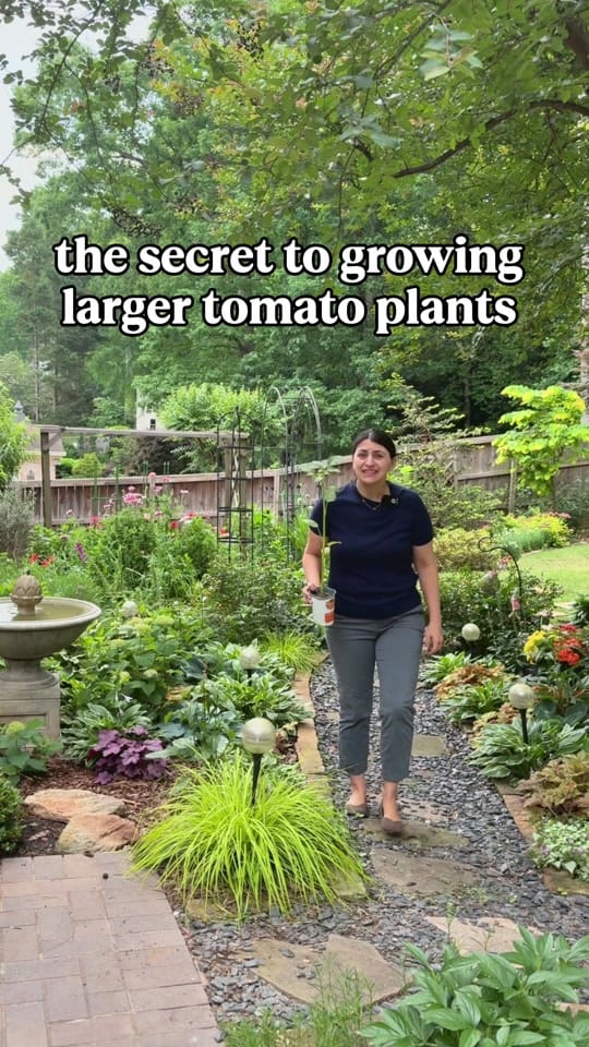 Post 7 by everydaygardeningtips on TikTok (video)
