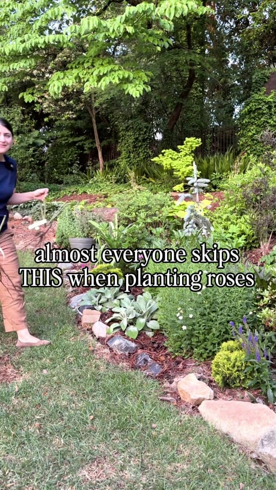 Post 1 by everydaygardeningtips on TikTok (video)