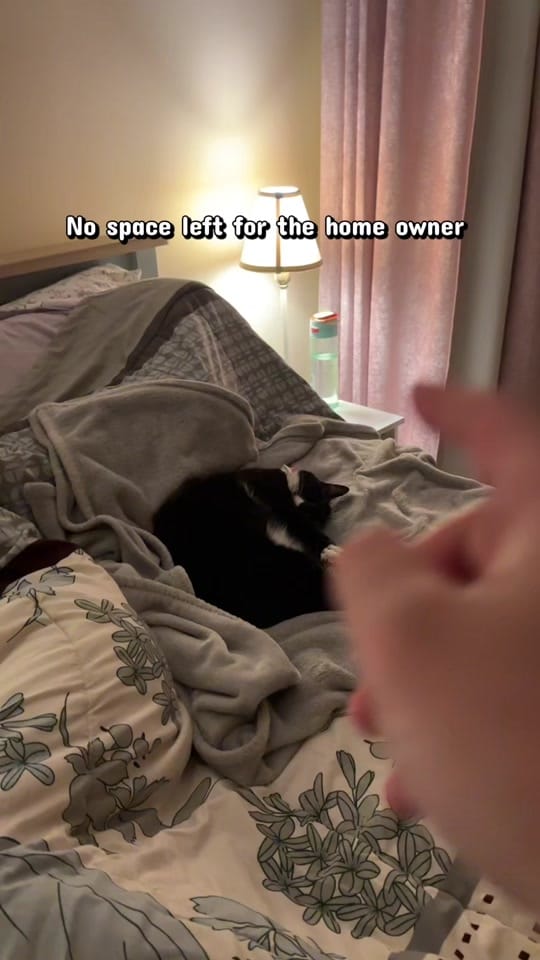 Post 1 by widetraveldiary on TikTok (video)