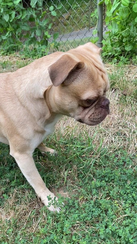Post 1 by kass_glass on TikTok (video)