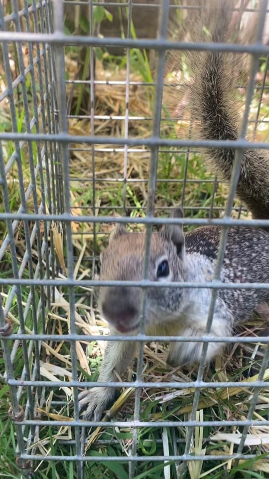 Post 3 by kass_glass on TikTok (video)
