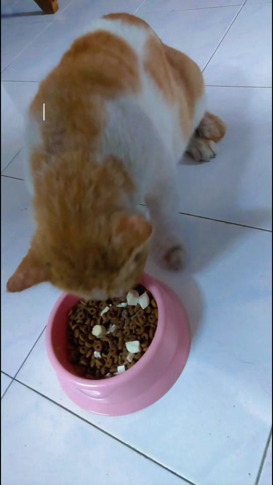 Post 3 by HABSAH ZAINI®️1🇬🇧🇫🇷 on TikTok (video)