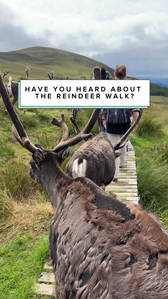 Post 10 by Gemma, Scotland Trip Planner on TikTok (video)