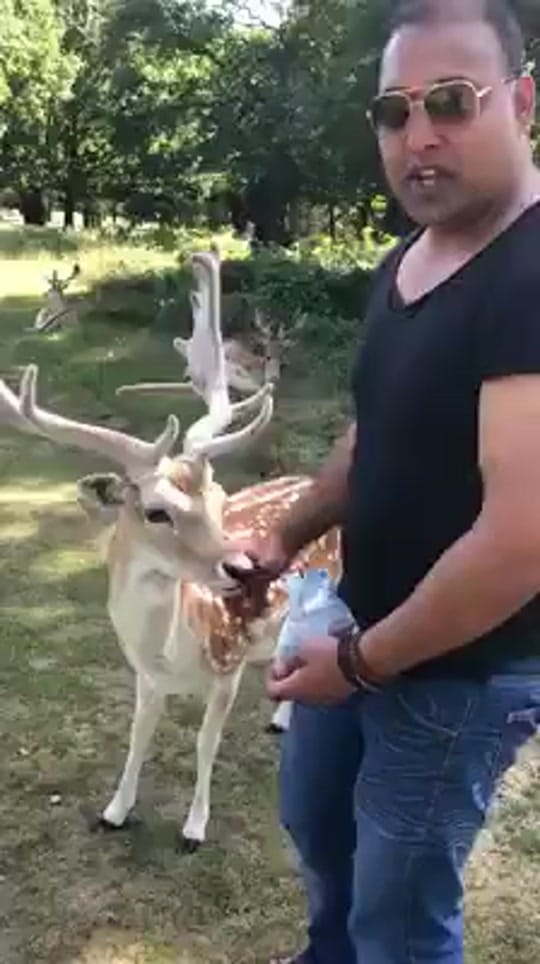 Post 6 by asifyaseen79 on TikTok (video)