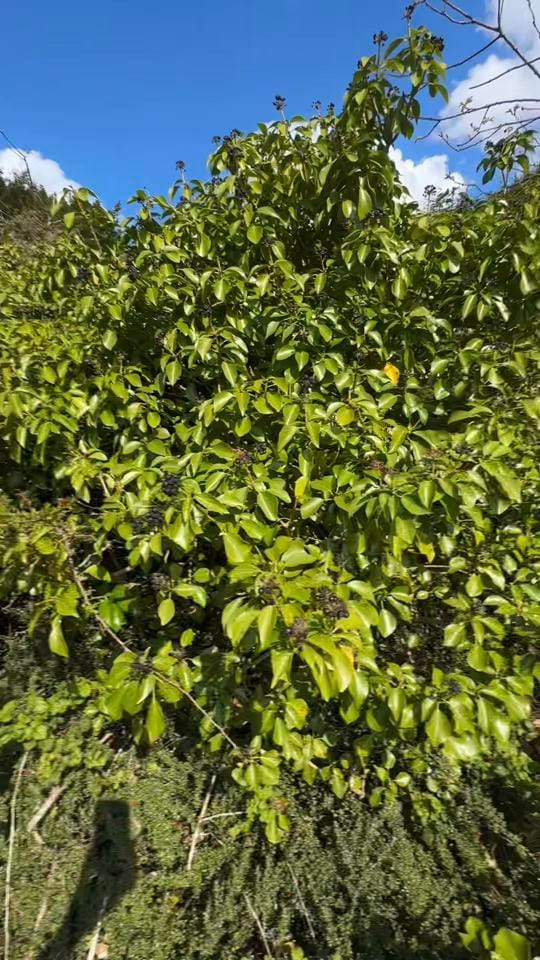 Post 7 by Jodie outdoors 🥾 on TikTok (video)