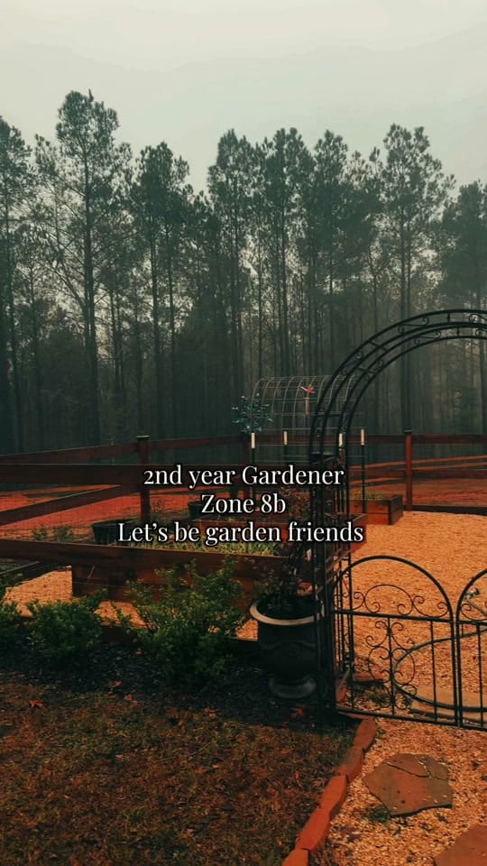 Post 9 by cadyhomegarden on TikTok (video)