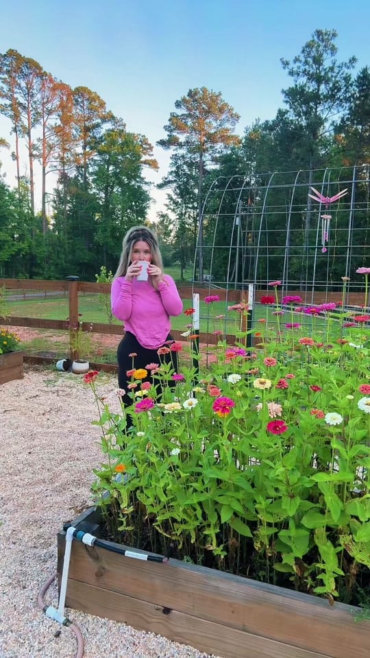 Post 2 by cadyhomegarden on TikTok (video)