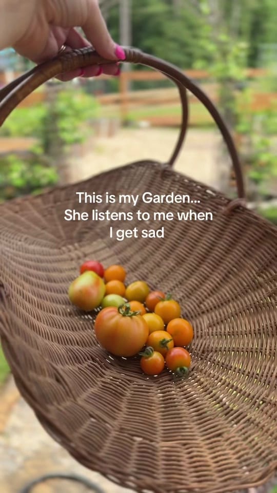 Post 3 by cadyhomegarden on TikTok (video)