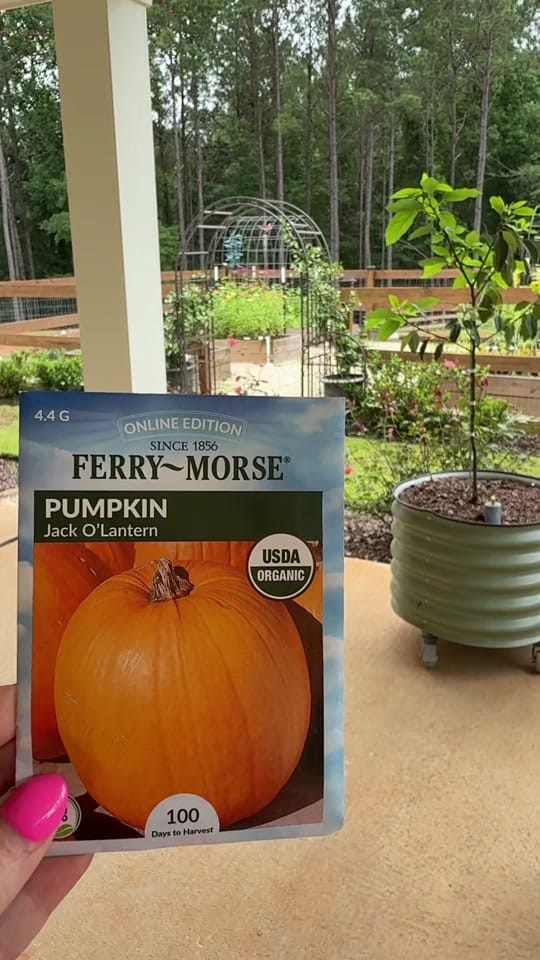 Post 4 by cadyhomegarden on TikTok (video)