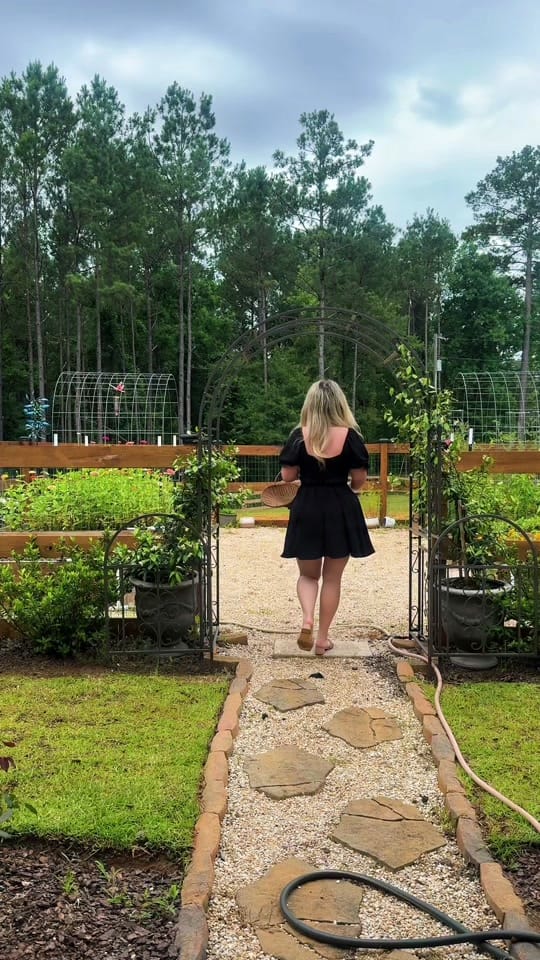 Post 6 by cadyhomegarden on TikTok (video)