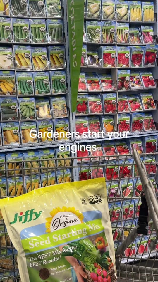 Post 10 by cadyhomegarden on TikTok (video)