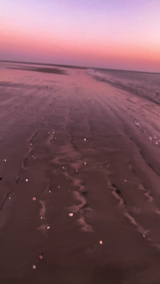Post 2 by Benjamin on TikTok (video)