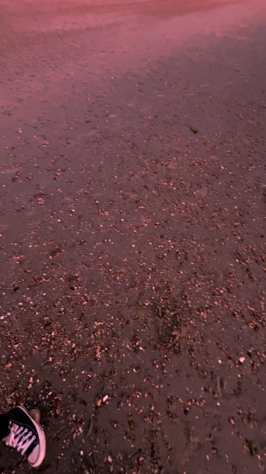 Post 9 by Benjamin on TikTok (video)