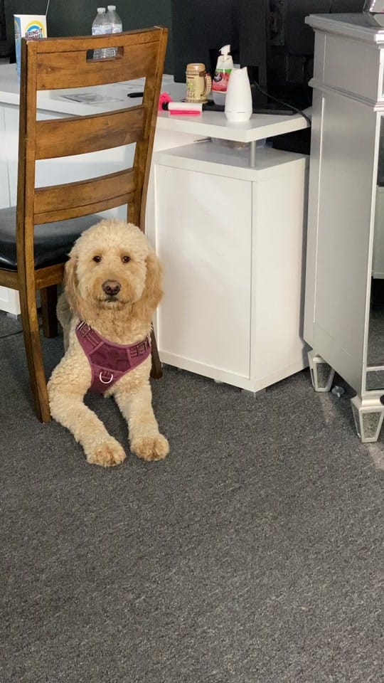 Post 9 by PearlFurnitureOutlet on TikTok (video)