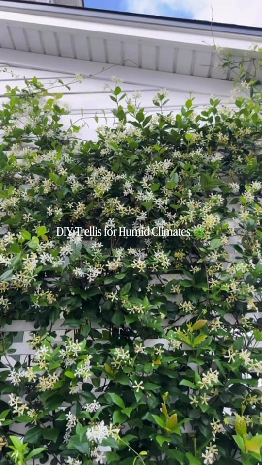 Post 10 by Jamie on TikTok (video)