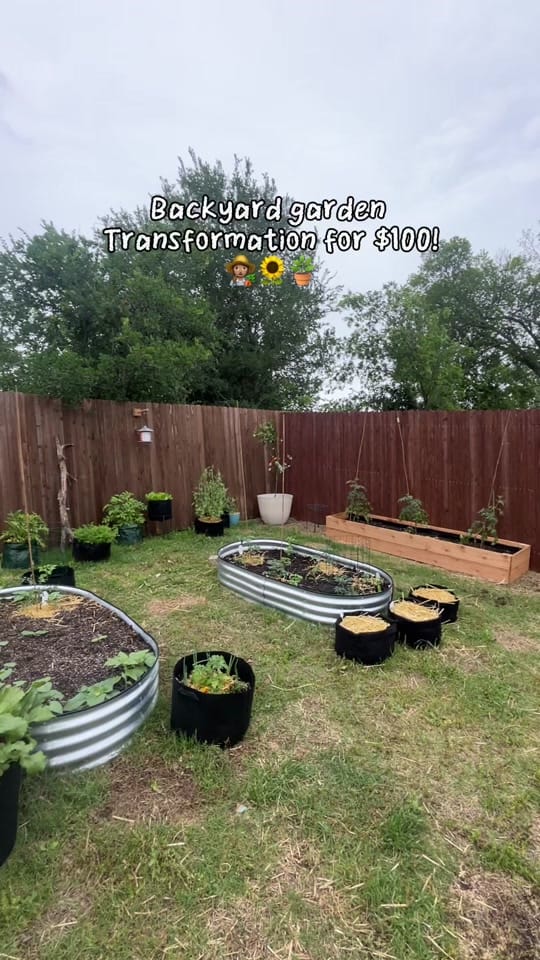 Post 6 by Jess Bennett on TikTok (video)