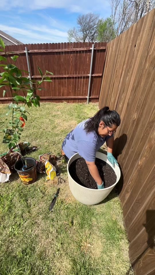 Post 10 by Jess Bennett on TikTok (video)