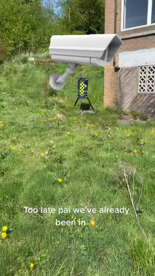 Post 9 by thegingerexplorers on TikTok (video)