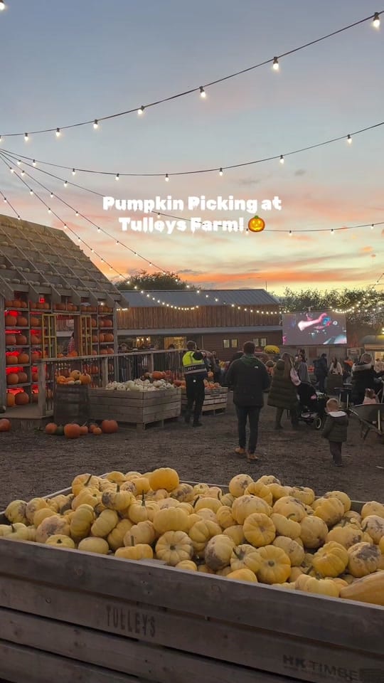 Post 5 by Explore With Kate on TikTok (video)