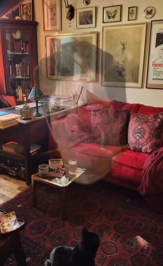 Post 7 by Jack Skolnick on TikTok (video)