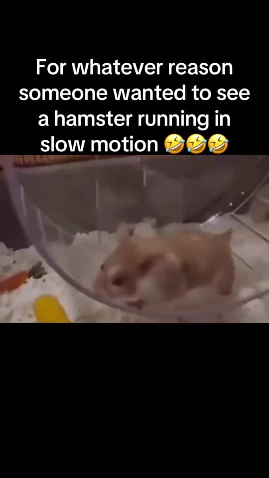 Post 6 by ThatGuyFromJaxFL on TikTok (video)