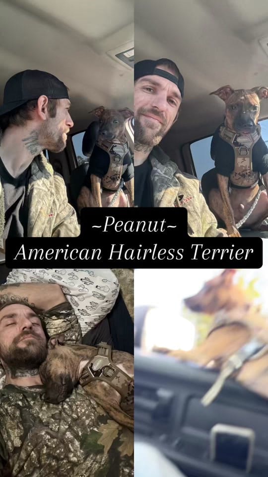 Post 7 by ThatGuyFromJaxFL on TikTok (video)
