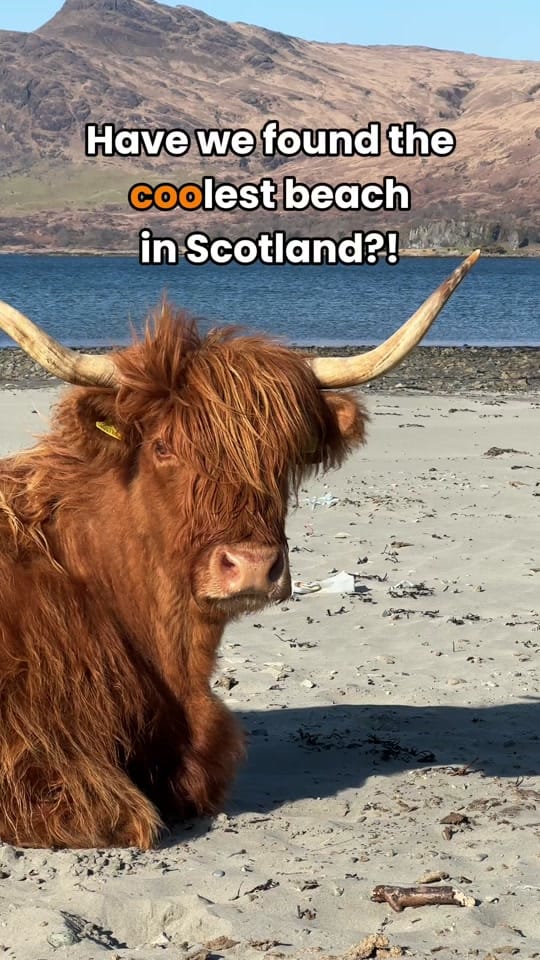 Post 5 by VisitScotland on TikTok (video)