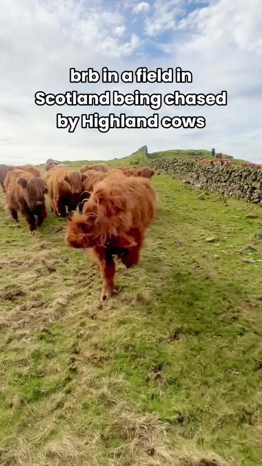 Post 3 by VisitScotland on TikTok (video)
