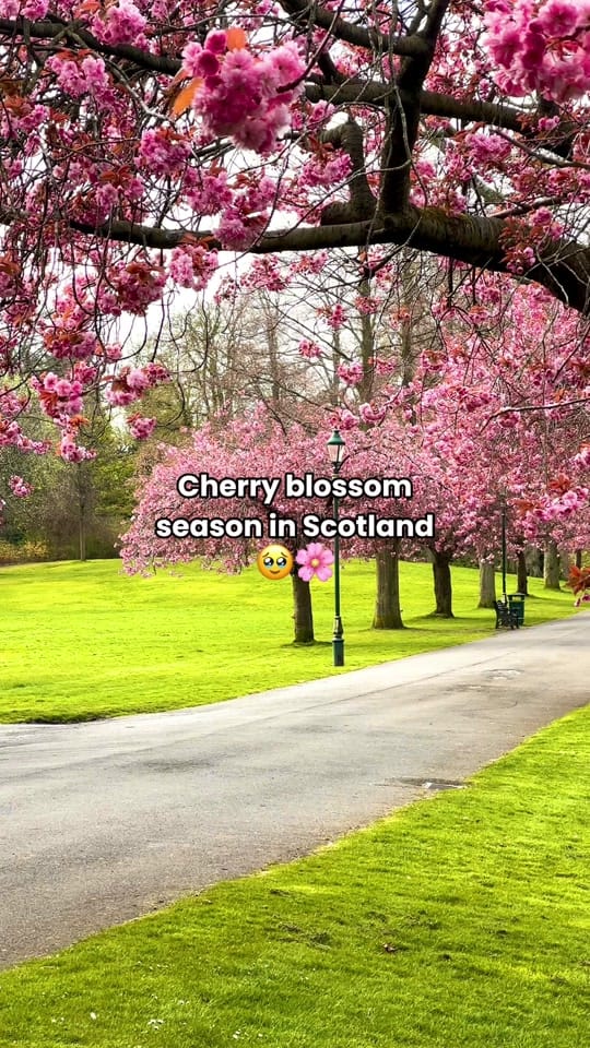Post 1 by VisitScotland on TikTok (video)