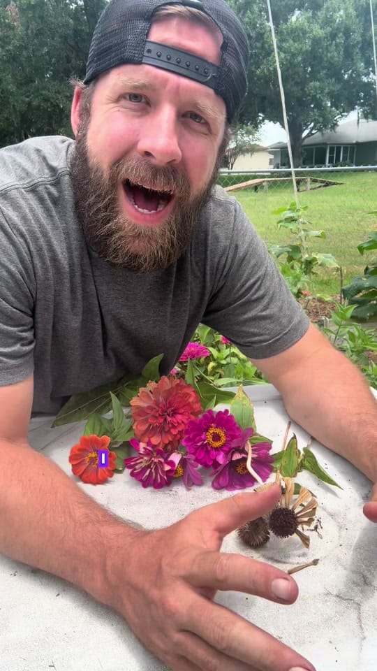 Post 2 by Florida Dad on TikTok (video)