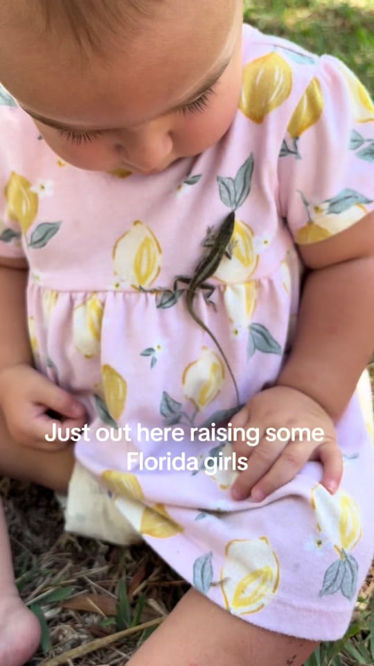 Post 10 by Florida Dad on TikTok (video)
