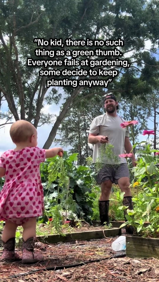 Post 8 by Florida Dad on TikTok (video)