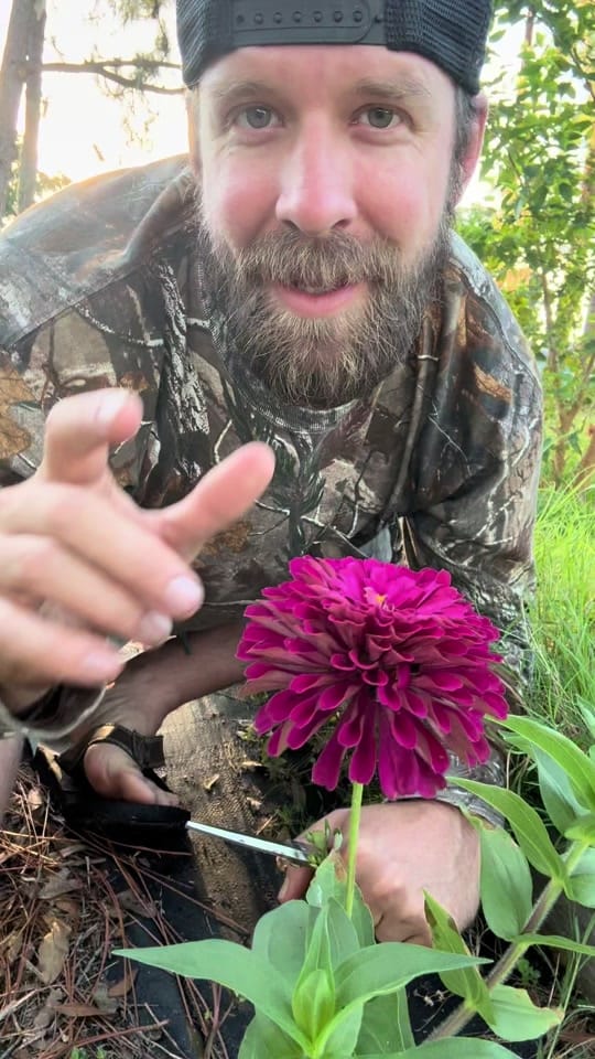 Post 6 by Florida Dad on TikTok (video)